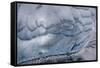 Greenland-Art Wolfe-Framed Stretched Canvas