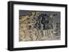 Greenland-Art Wolfe-Framed Photographic Print