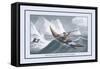 Greenlanders Seal Catching-J.h. Clark-Framed Stretched Canvas