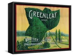 Greenleaf Lemon Label - Whittier, CA-Lantern Press-Framed Stretched Canvas