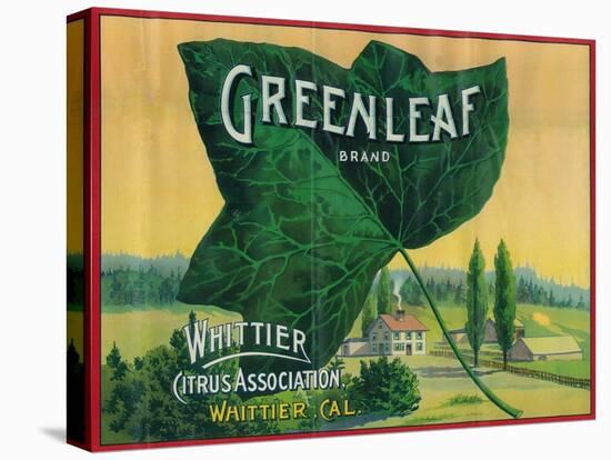 Greenleaf Lemon Label - Whittier, CA-Lantern Press-Stretched Canvas