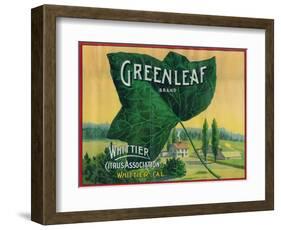 Greenleaf Lemon Label - Whittier, CA-Lantern Press-Framed Art Print