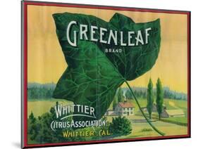 Greenleaf Lemon Label - Whittier, CA-Lantern Press-Mounted Art Print