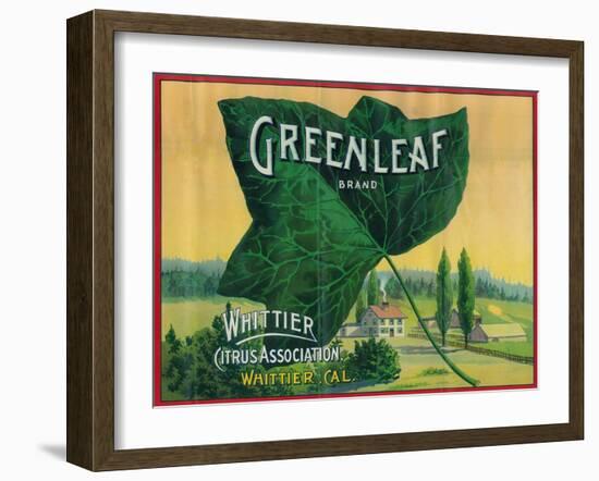 Greenleaf Lemon Label - Whittier, CA-Lantern Press-Framed Art Print
