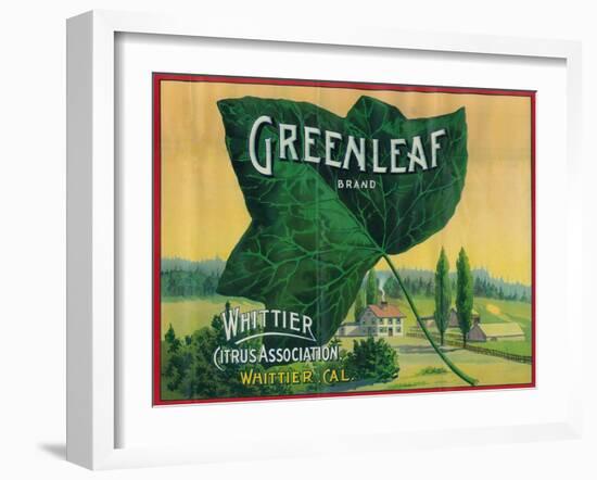 Greenleaf Lemon Label - Whittier, CA-Lantern Press-Framed Art Print