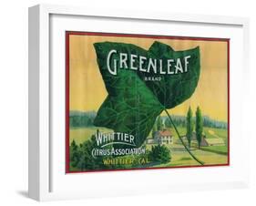 Greenleaf Lemon Label - Whittier, CA-Lantern Press-Framed Art Print