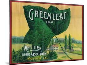Greenleaf Lemon Label - Whittier, CA-Lantern Press-Mounted Art Print