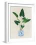 Greens in Vase I-Aria K-Framed Art Print