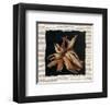 Greens-P^ Rouleau-Framed Art Print