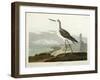 Greenshank, View of the St, 1835-John James Audubon-Framed Giclee Print