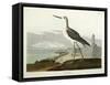 Greenshank, View of the St, 1835-John James Audubon-Framed Stretched Canvas