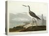 Greenshank, View of the St, 1835-John James Audubon-Stretched Canvas