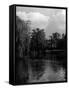 Greenwich Park Lake-null-Framed Stretched Canvas