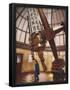 Essential Black