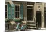 Greenwich Village Life-null-Mounted Art Print