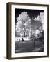 Greenwood Cemetery Is The Original Cemetery In Tuscaloosa, Alabama-Carol Highsmith-Framed Art Print