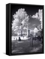 Greenwood Cemetery Is The Original Cemetery In Tuscaloosa, Alabama-Carol Highsmith-Framed Stretched Canvas