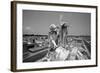 Greenwood Cemetery, New Orleans, Louisiana-Paul Souders-Framed Photographic Print