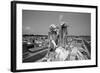 Greenwood Cemetery, New Orleans, Louisiana-Paul Souders-Framed Photographic Print