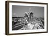 Greenwood Cemetery, New Orleans, Louisiana-Paul Souders-Framed Photographic Print