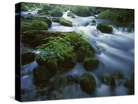 Greer Spring, Ozark National Scenic Riverways, Missouri, USA-Charles Gurche-Stretched Canvas