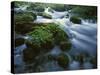 Greer Spring, Ozark National Scenic Riverways, Missouri, USA-Charles Gurche-Stretched Canvas