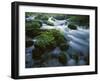 Greer Spring, Ozark National Scenic Riverways, Missouri, USA-Charles Gurche-Framed Premium Photographic Print