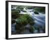 Greer Spring, Ozark National Scenic Riverways, Missouri, USA-Charles Gurche-Framed Photographic Print