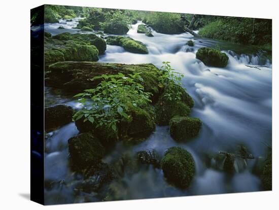 Greer Spring, Ozark National Scenic Riverways, Missouri, USA-Charles Gurche-Stretched Canvas