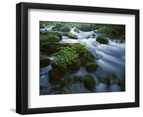 Greer Spring, Ozark National Scenic Riverways, Missouri, USA-Charles Gurche-Framed Photographic Print