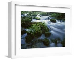 Greer Spring, Ozark National Scenic Riverways, Missouri, USA-Charles Gurche-Framed Photographic Print