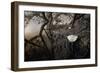 Greeting Mama-Jai Johnson-Framed Giclee Print