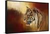 Greeting November-Jai Johnson-Framed Stretched Canvas