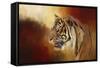 Greeting November-Jai Johnson-Framed Stretched Canvas