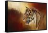 Greeting November-Jai Johnson-Framed Stretched Canvas