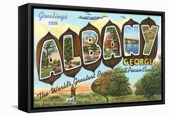 Greetings from Albany, Georgia-null-Framed Stretched Canvas