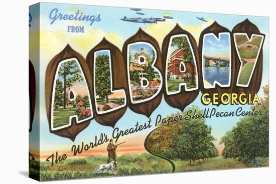 Greetings from Albany, Georgia-null-Stretched Canvas