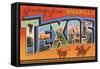 Greetings from Amarillo, Texas-null-Framed Stretched Canvas