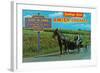 Greetings from Amish Country-null-Framed Art Print