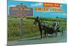 Greetings from Amish Country-null-Mounted Art Print