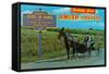 Greetings from Amish Country-null-Framed Stretched Canvas
