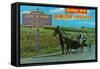 Greetings from Amish Country-null-Framed Stretched Canvas