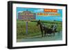 Greetings from Amish Country-null-Framed Premium Giclee Print