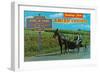 Greetings from Amish Country-null-Framed Premium Giclee Print