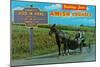 Greetings from Amish Country-null-Mounted Premium Giclee Print