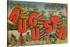 Greetings from Augusta, Georgia: a Busy Day in the Cotton Field, 1943-null-Stretched Canvas