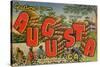 Greetings from Augusta, Georgia: a Busy Day in the Cotton Field, 1943-null-Stretched Canvas