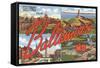 Greetings from Baltimore, Maryland-null-Framed Stretched Canvas