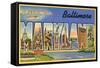 Greetings from Baltimore, Maryland-null-Framed Stretched Canvas