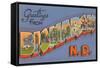 Greetings from Bismarck, North Dakota-null-Framed Stretched Canvas